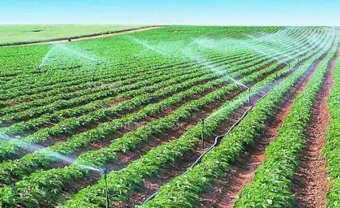 想被又粗又长又黑的鸡巴插逼视频农田高 效节水灌溉